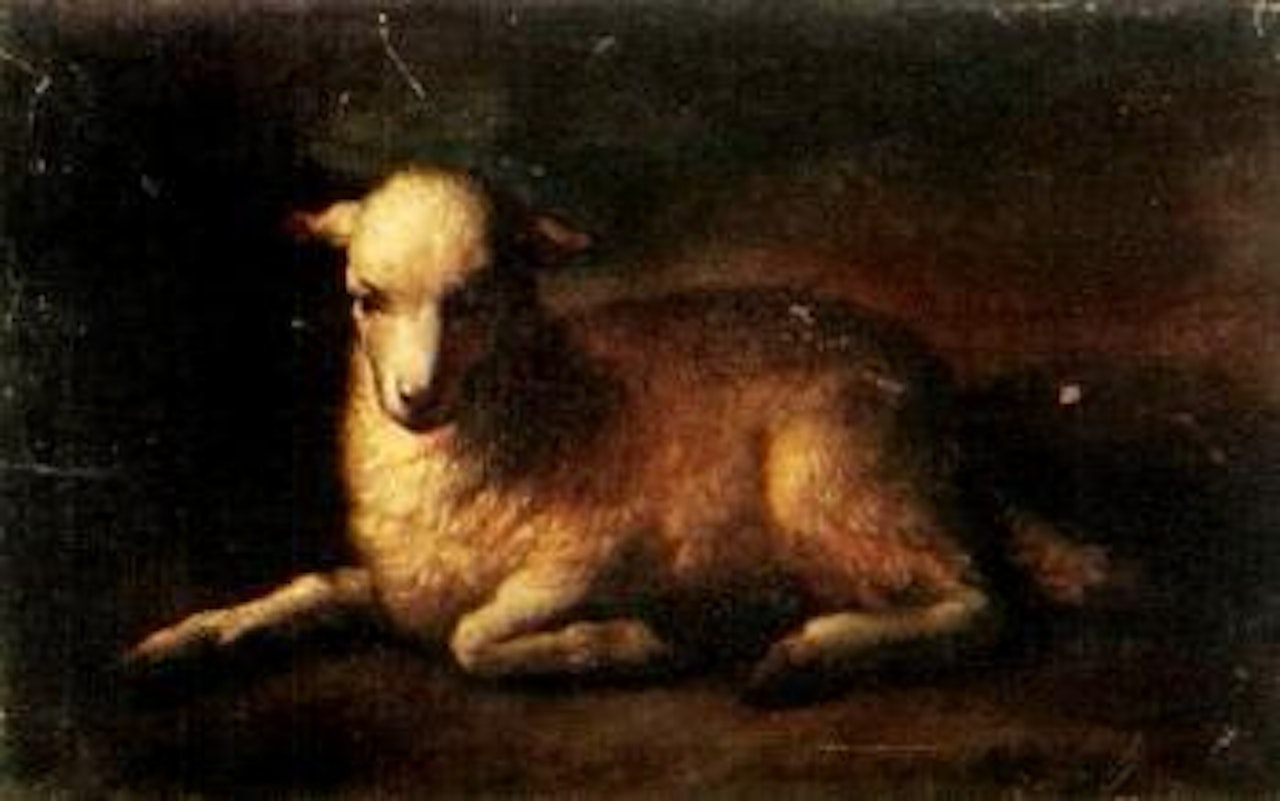Lamb by German School