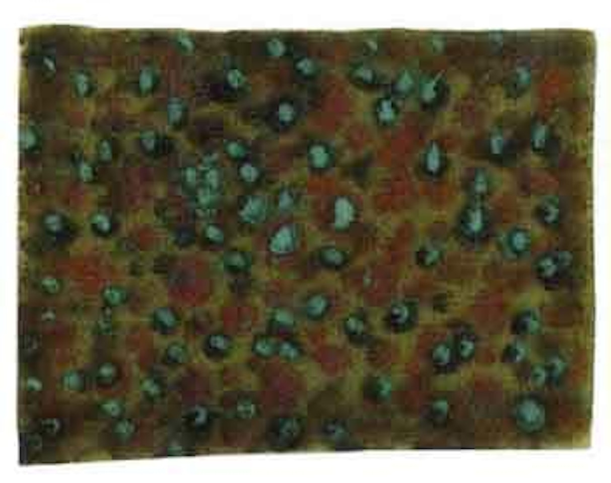 Dots by Mark Tobey