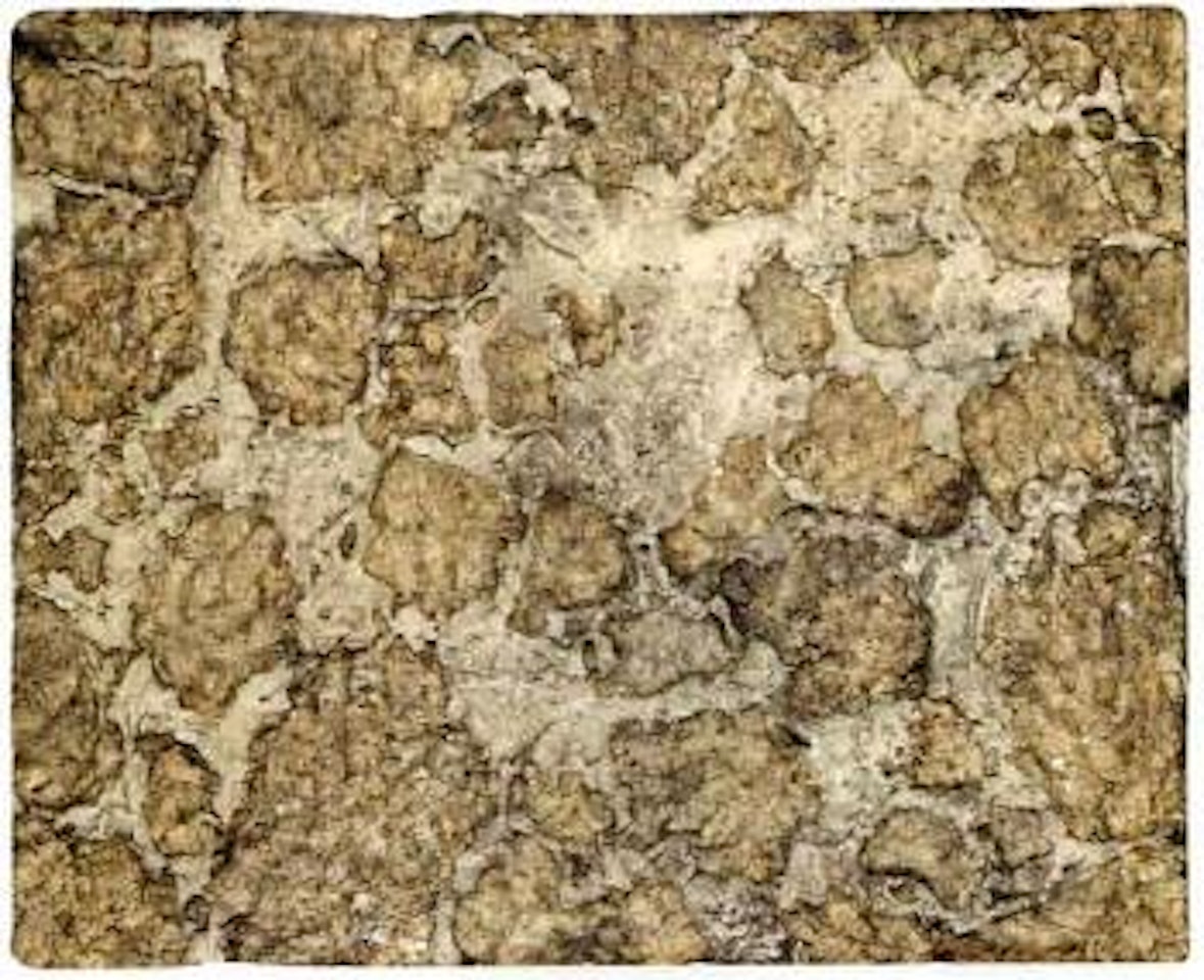 Lavie sans l'homme II by Jean Dubuffet