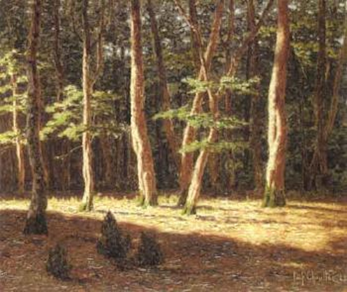 Forest at sunset by Ivan Fedorovich Choultse