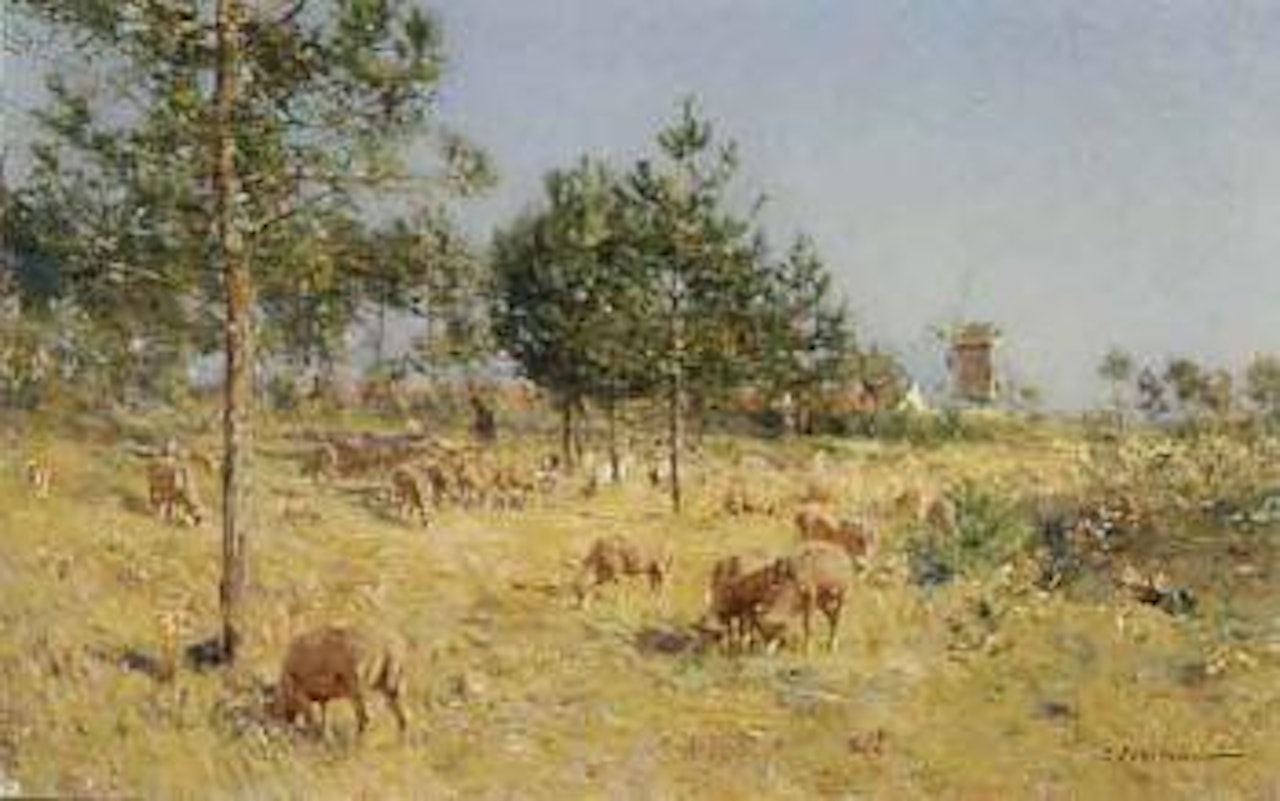 Sous bois ostdoinkeck effet de soleil by Ivan Pavlovitch Pochitonov