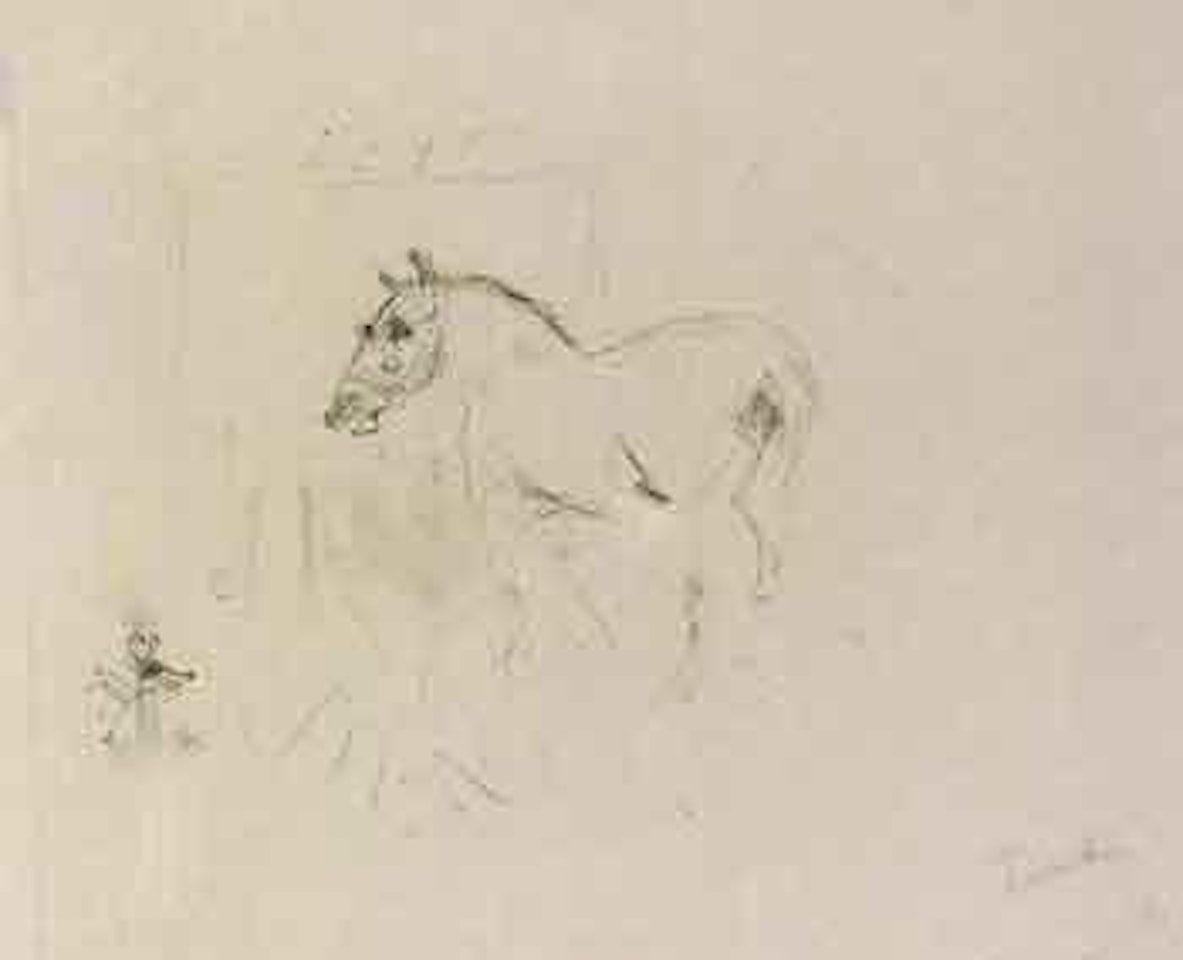 Le petit poney de Calmese by Henri de Toulouse-Lautrec
