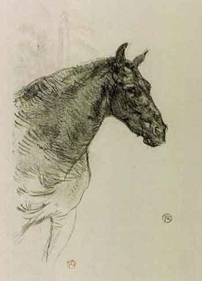 Le poney Philbert by Henri de Toulouse-Lautrec