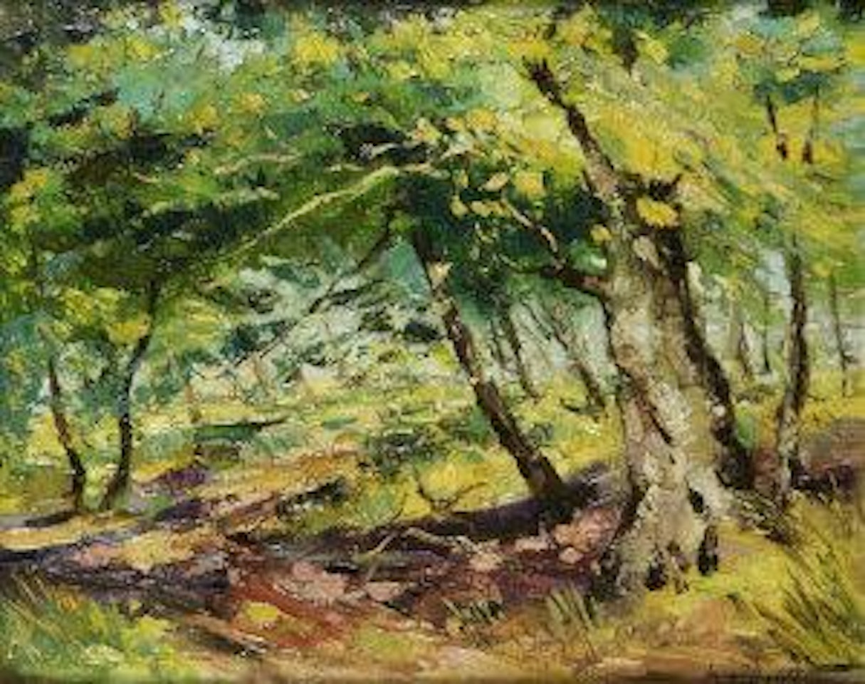 Woodland path by Kenneth Webb