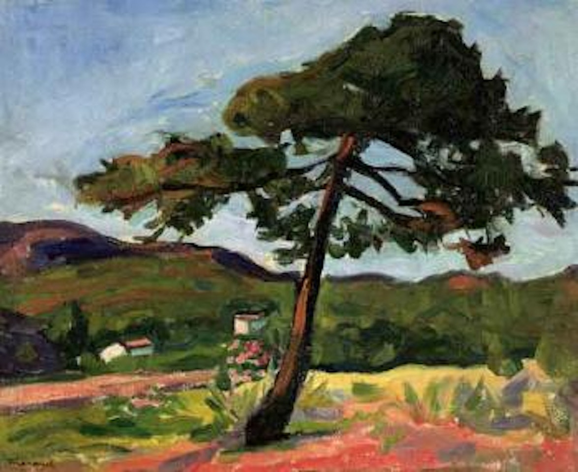Le Pin, St Tropez by Albert Marquet