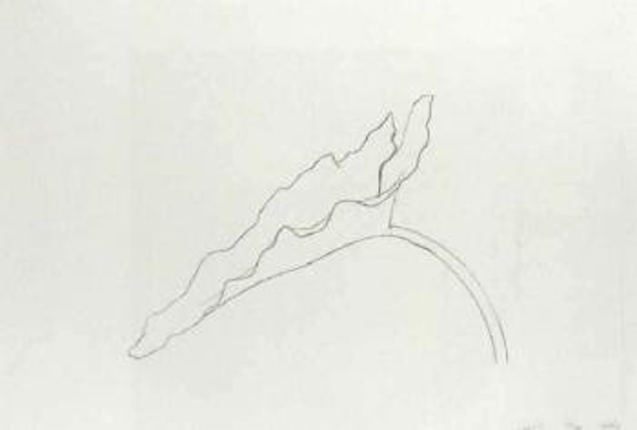Leaf IX by Ellsworth Kelly