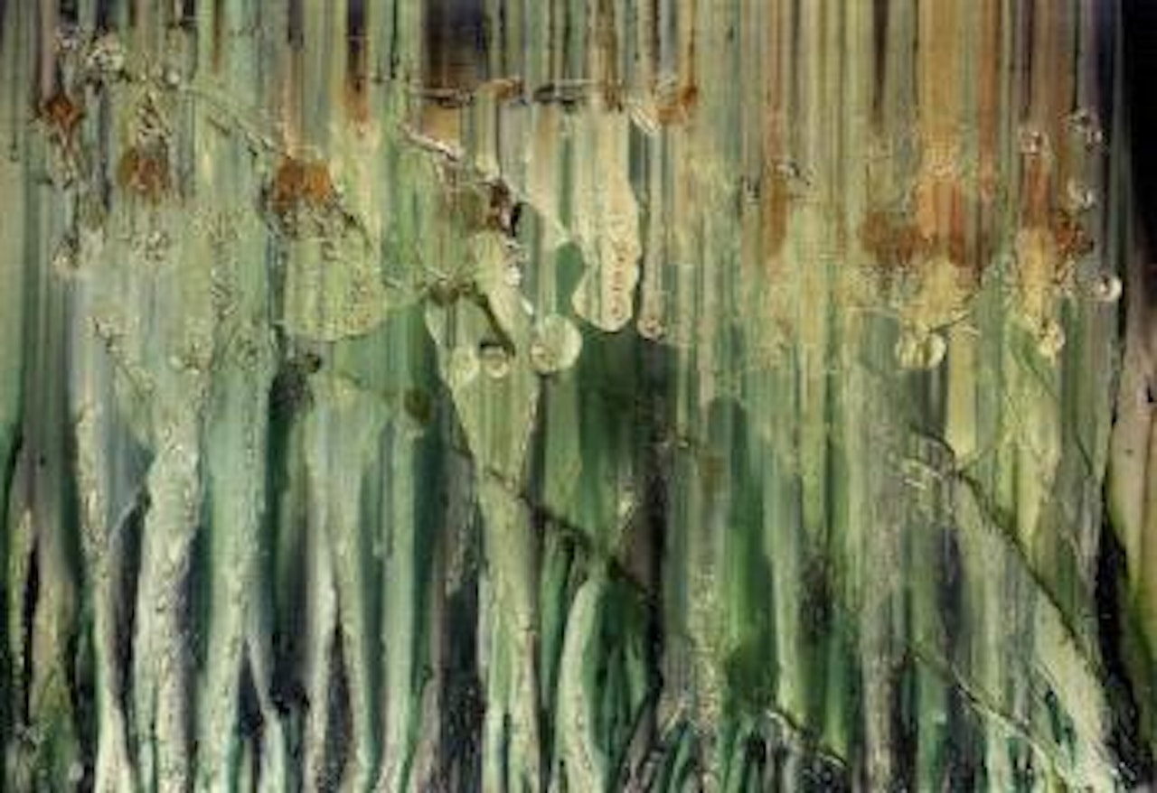 Harmony in green by Thanos Tsingos