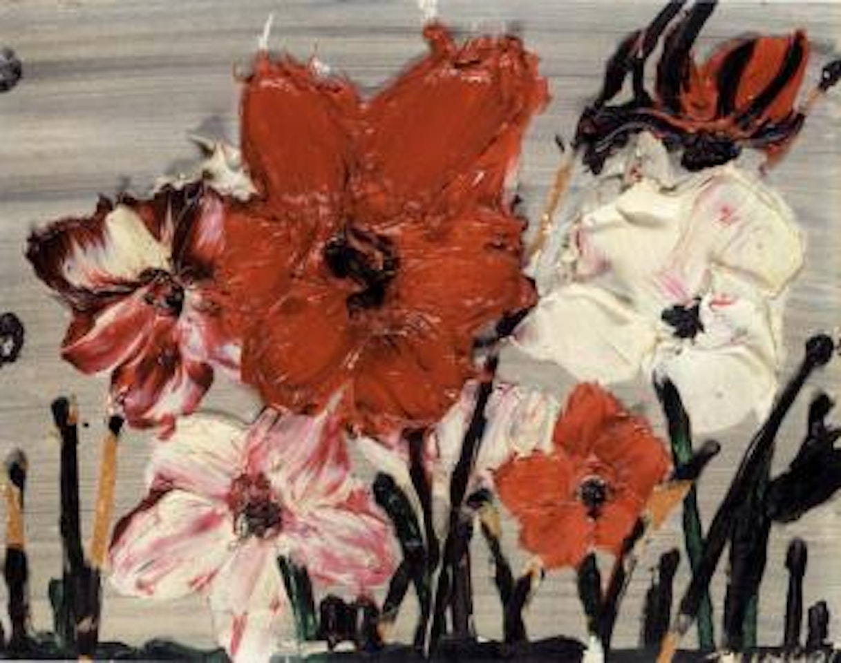 Red and white flowers by Thanos Tsingos