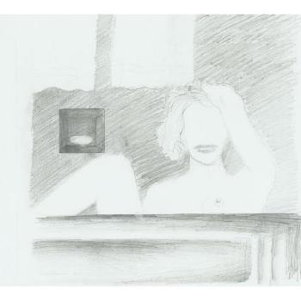 Nude in bathtub by Tom Wesselmann