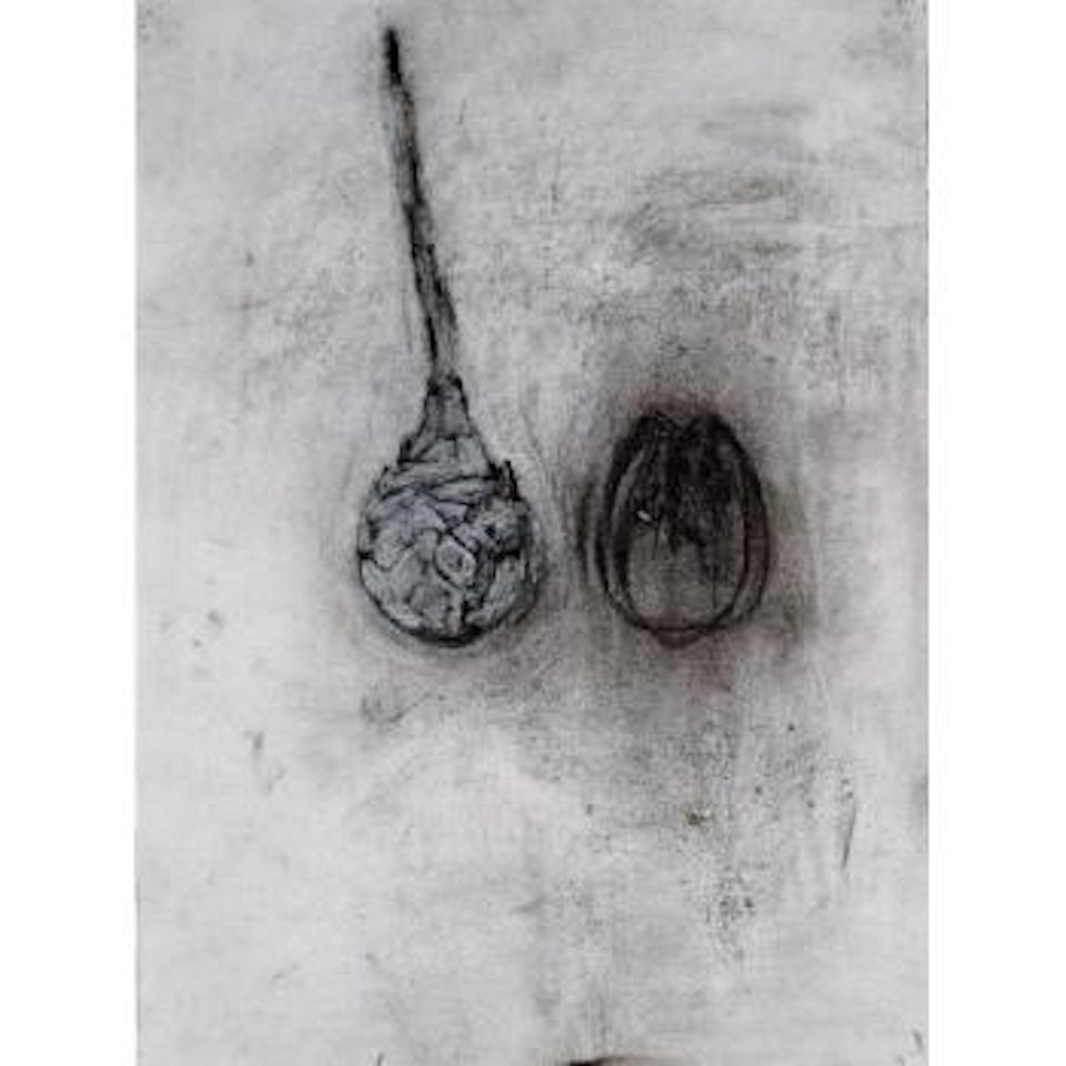 Botanical subject by Terry Winters