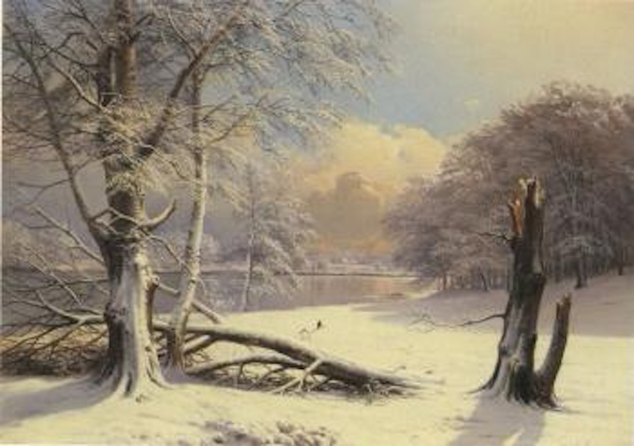 Winter's day with trees in sunshine by Anders Andersen-Lundby