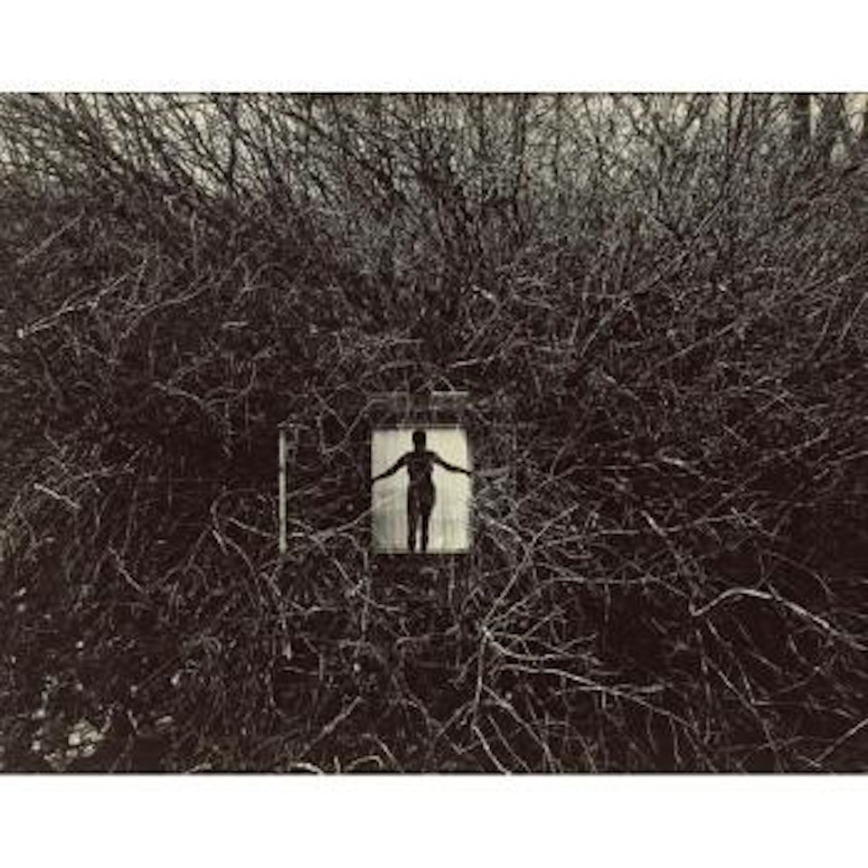 Eleanor, double exposure by Harry Callahan