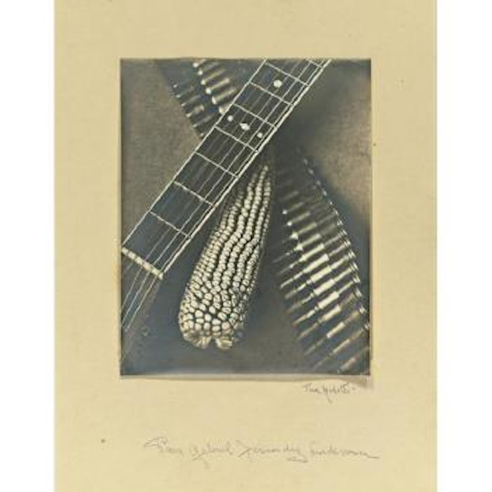Bandolier, corn, and guitar by Tina Modotti