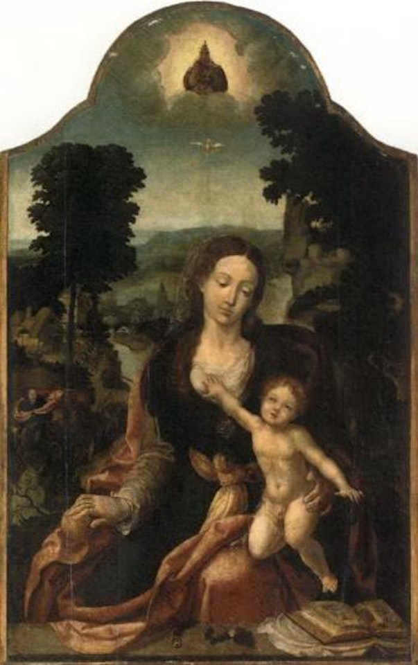 Madonna and Child in river landscape by Attributed to Pieter Coecke van Aelst I