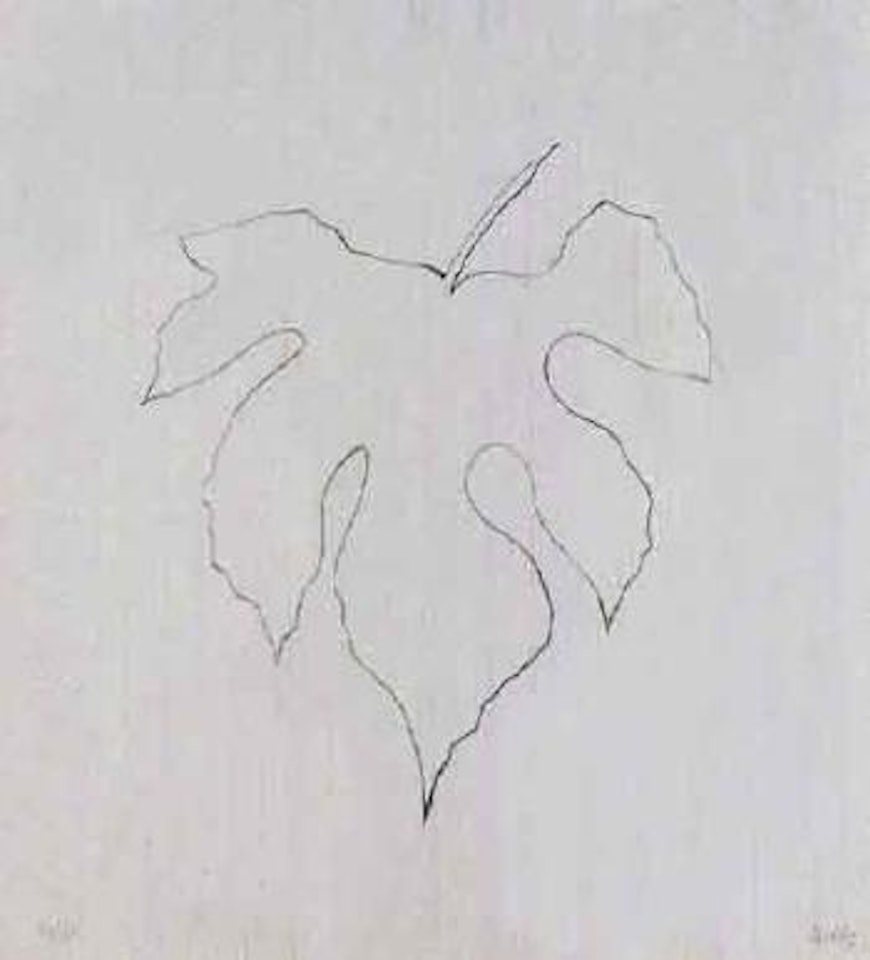 Wild grape leaf by Ellsworth Kelly