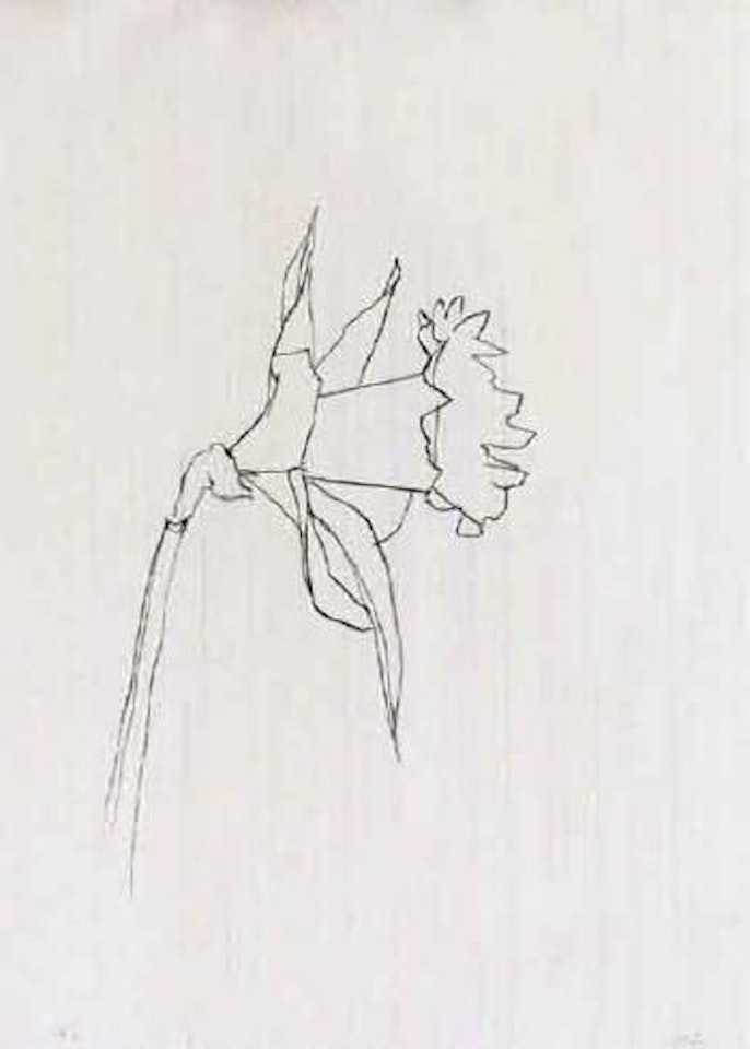 Daffodil by Ellsworth Kelly
