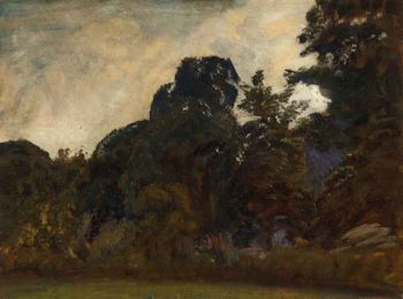 Tree study at Holmecote, Exmoor by Alfred James Munnings