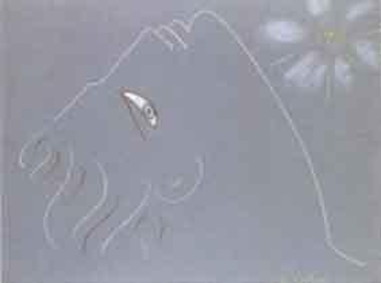 Profil au soleil by Jean Cocteau