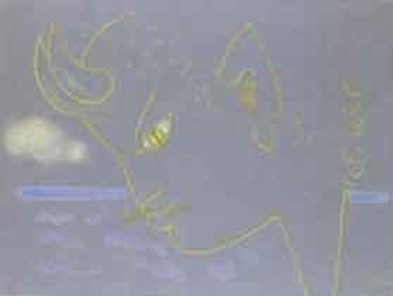 Profil de faune devant la mer by Jean Cocteau