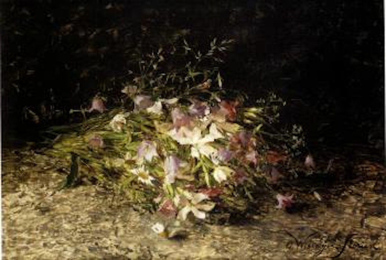 A spray of wild flowers by Olga Wisinger-Florian