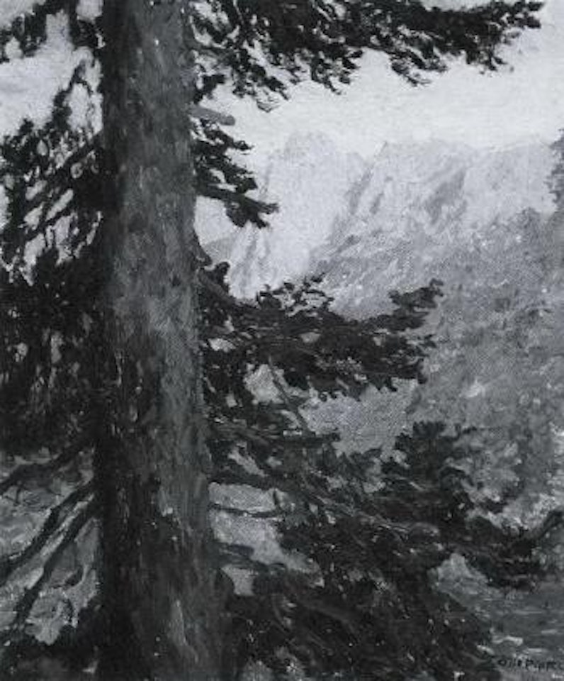 Wilde Kaiser by Otto Pippel