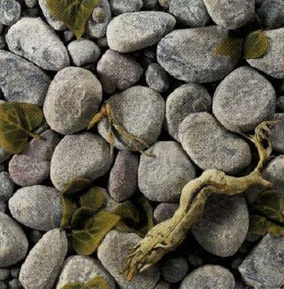 Stream bank by Piero Gilardi