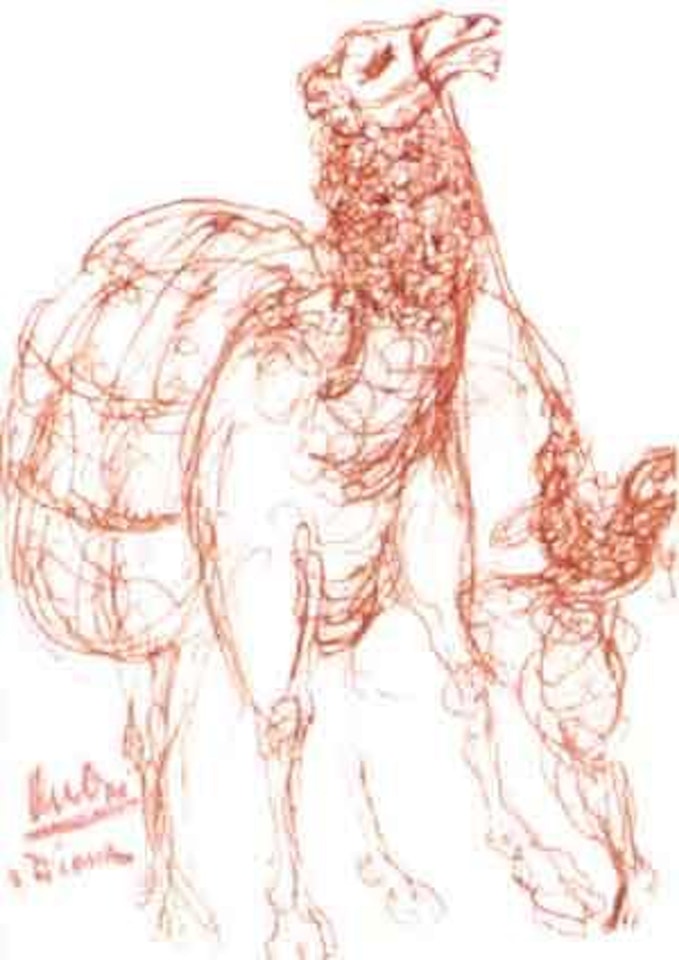 Camel by Reuven Rubin