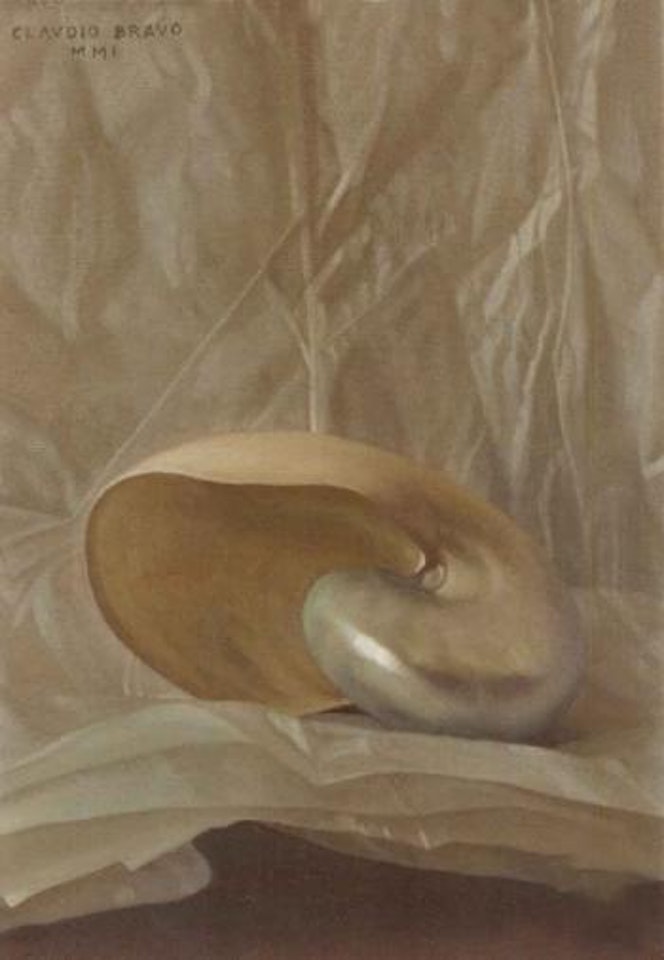 Shell by Claudio Bravo
