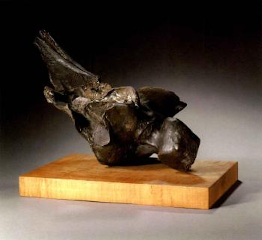 Icarus transformed I by Michael Ayrton
