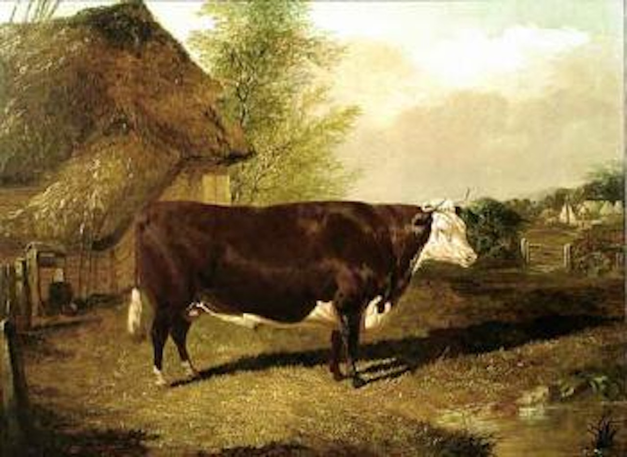 Hereford bull in a farmyard by John Frederick Herring