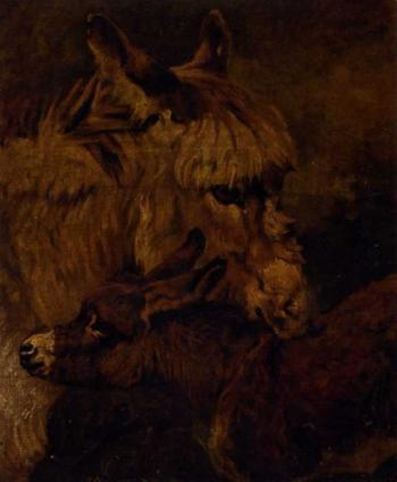 Donkey and foal by John Emms