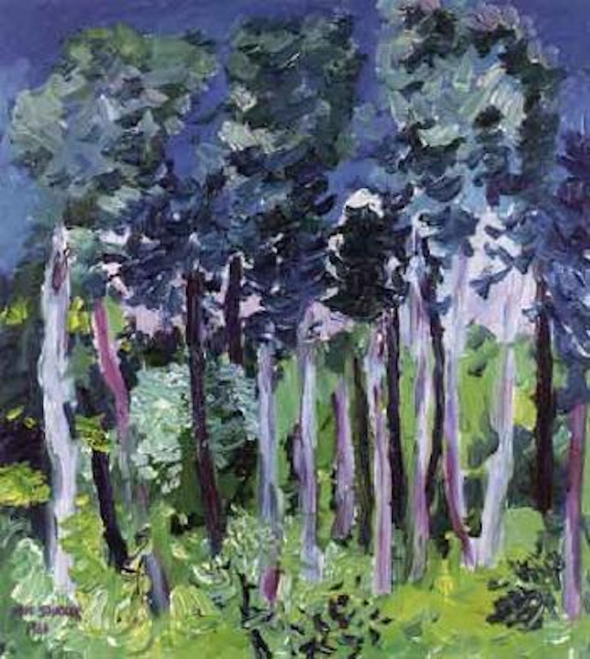 Aspen forest by meadow, Koster by Inge Schiöler