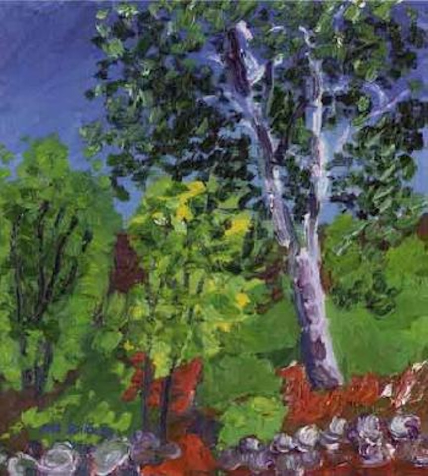 Silver birches by edge of sea by Inge Schiöler