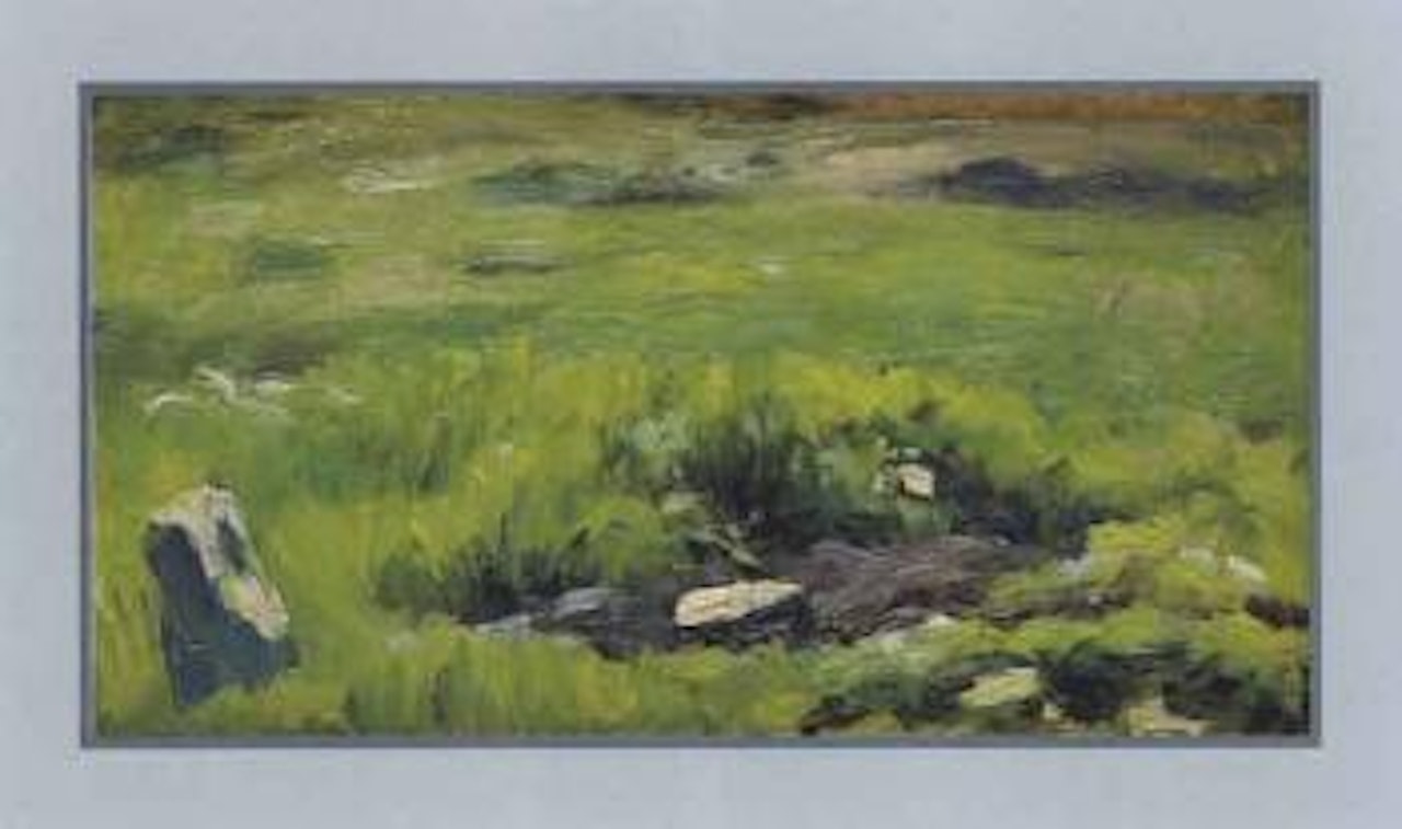 Study for landscape by Joaquin Sorolla Y Bastida