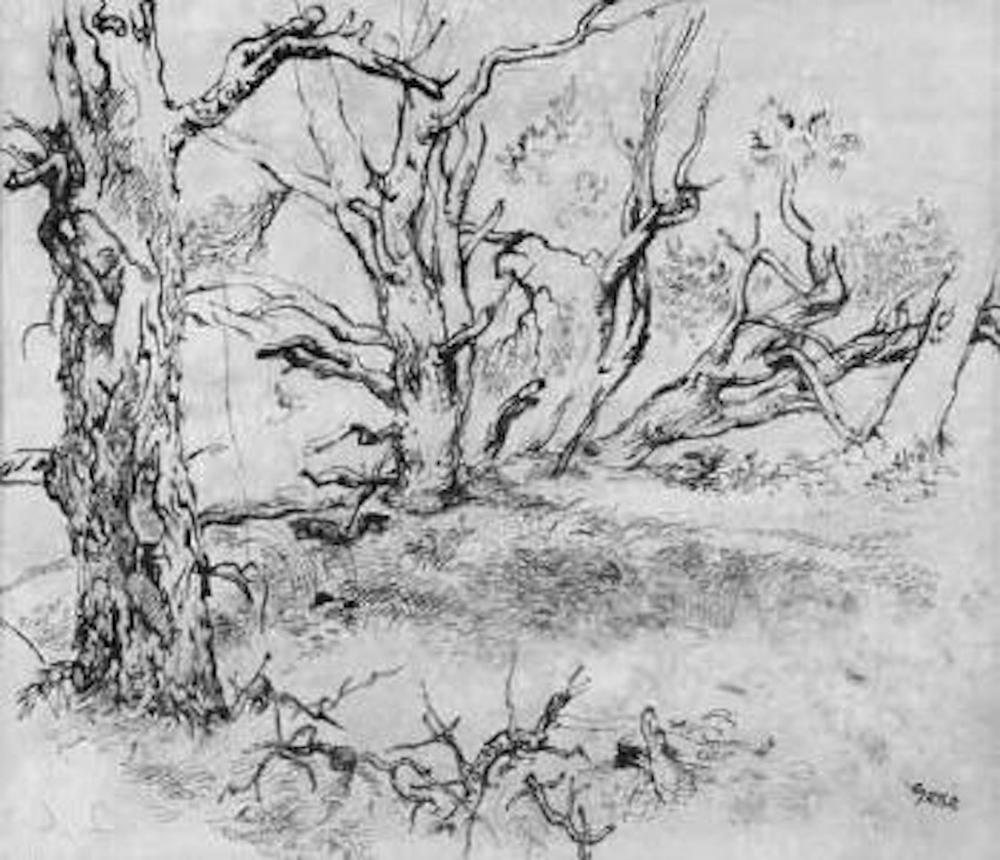 Tree study by George Grosz
