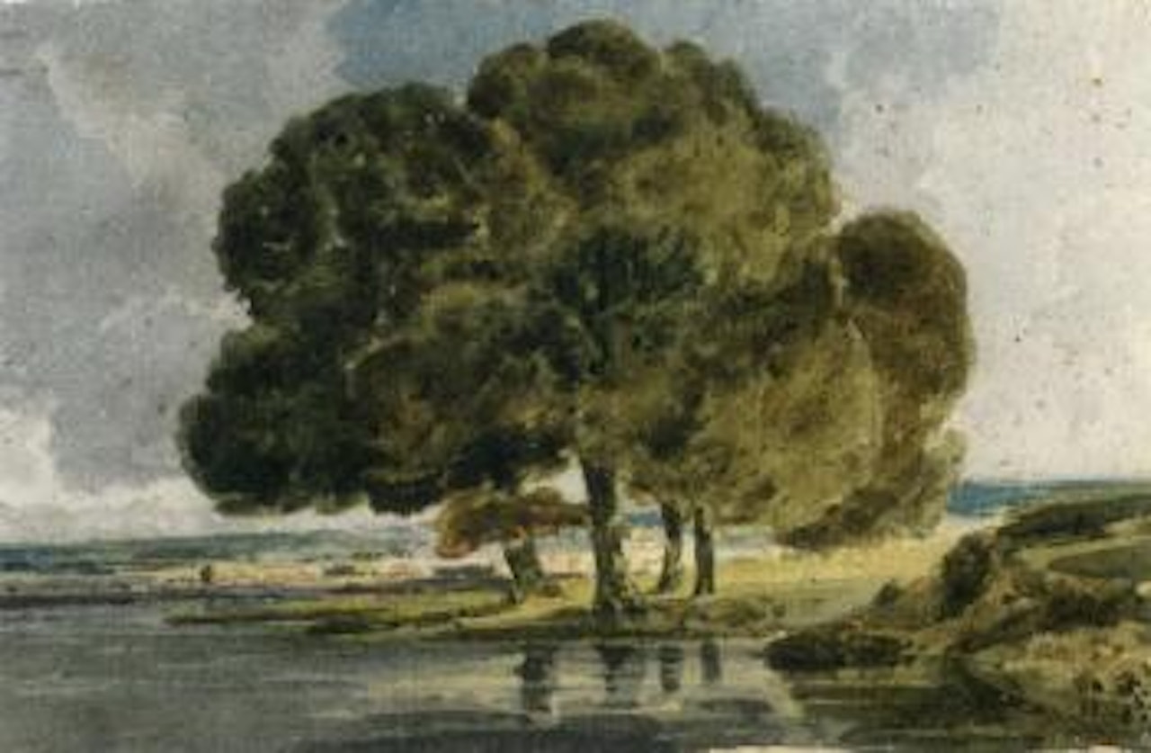 Trees on a riverbank by Thomas Girtin