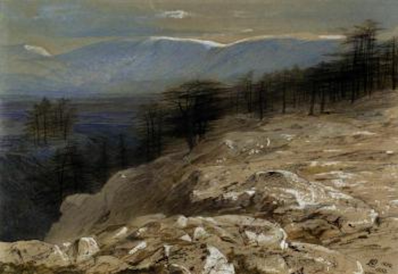 Cedars of Lebanon by Edward Lear