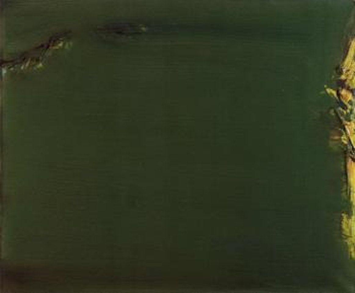 Fond vert by Olivier Debre