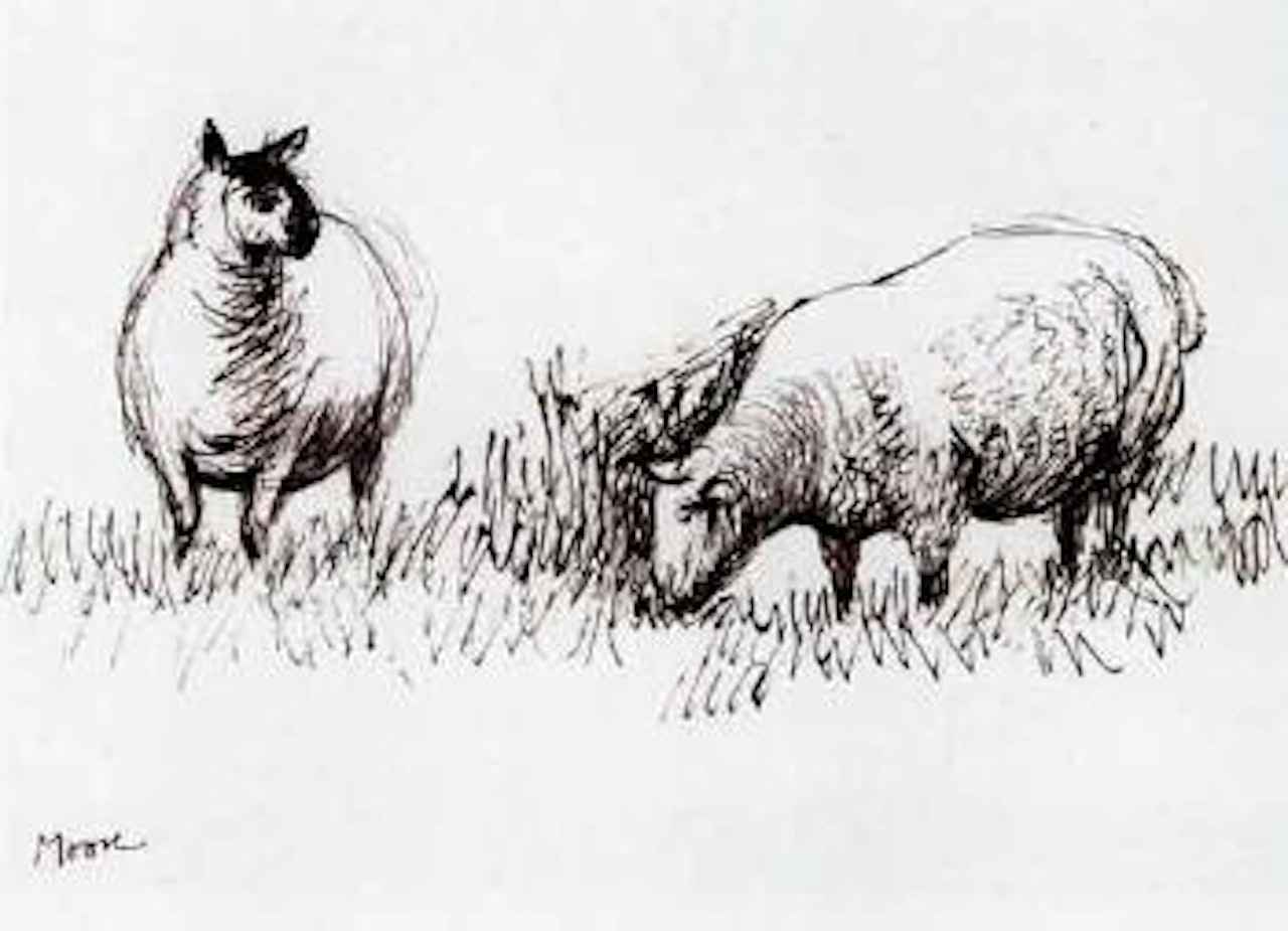 Two sheep by Henry Moore