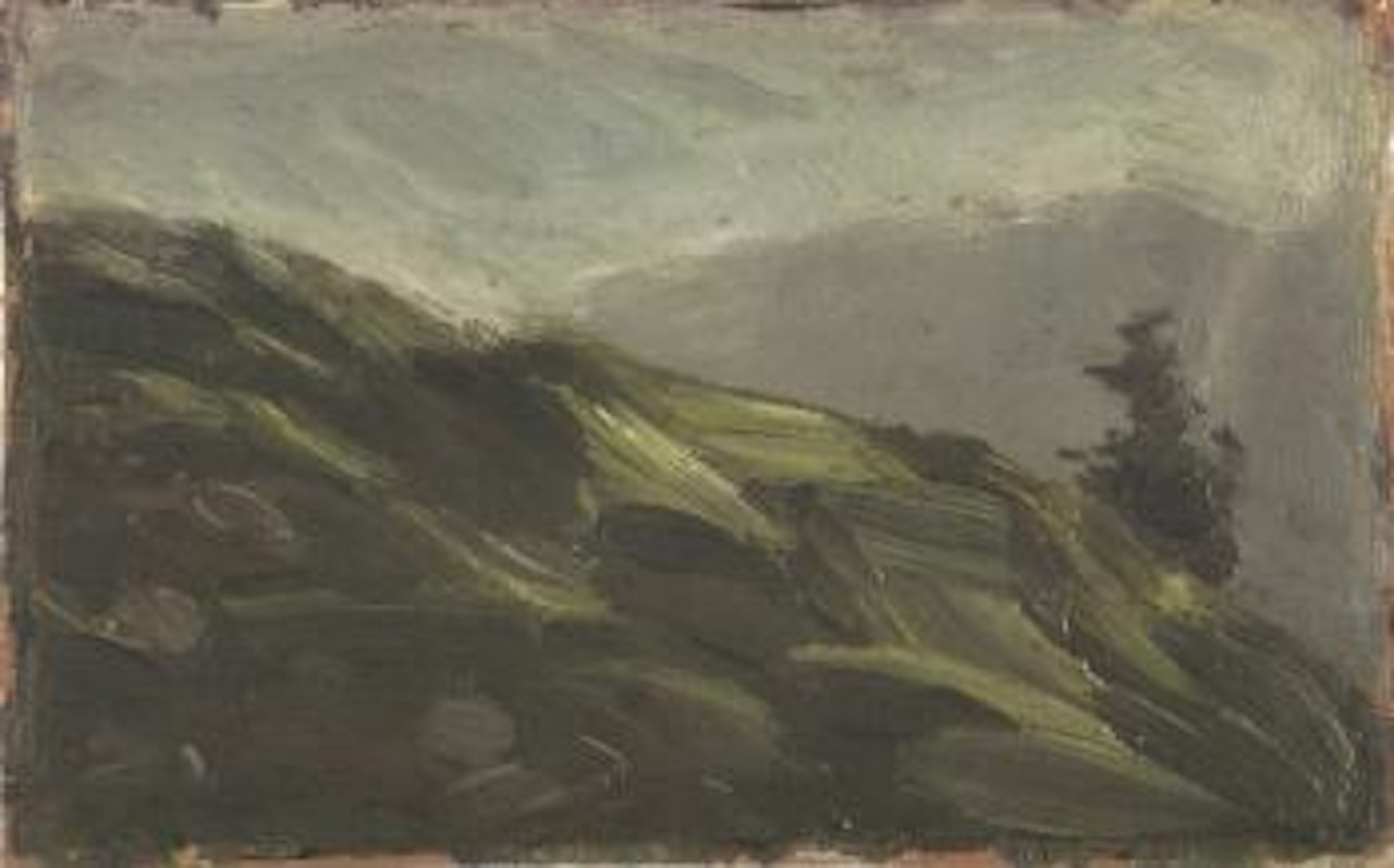Small mountain pasture study by Franz Marc