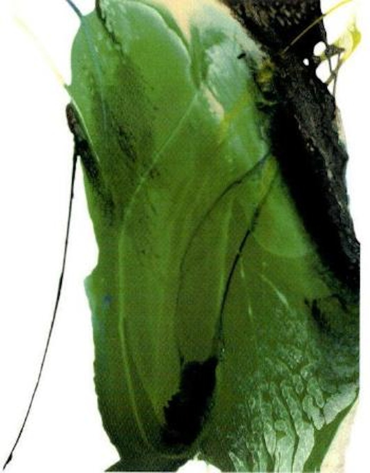 Phenomena by Welsh Green by Paul Jenkins