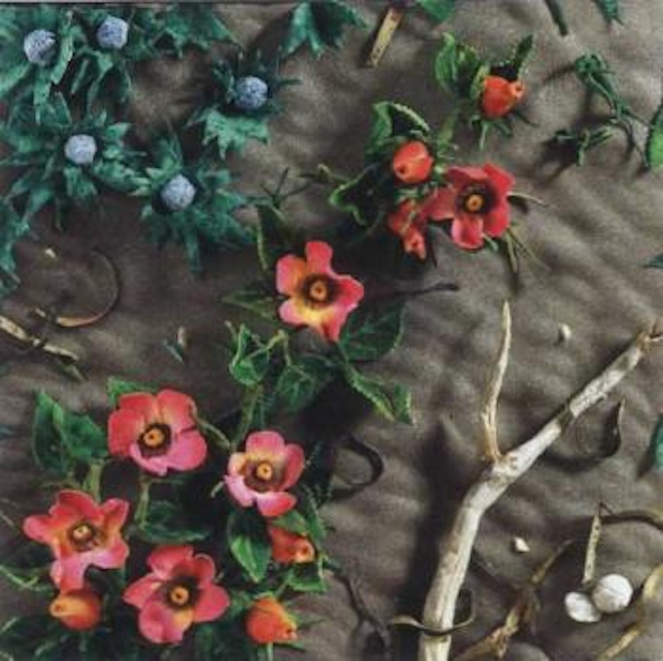 Roses on the beach by Piero Gilardi