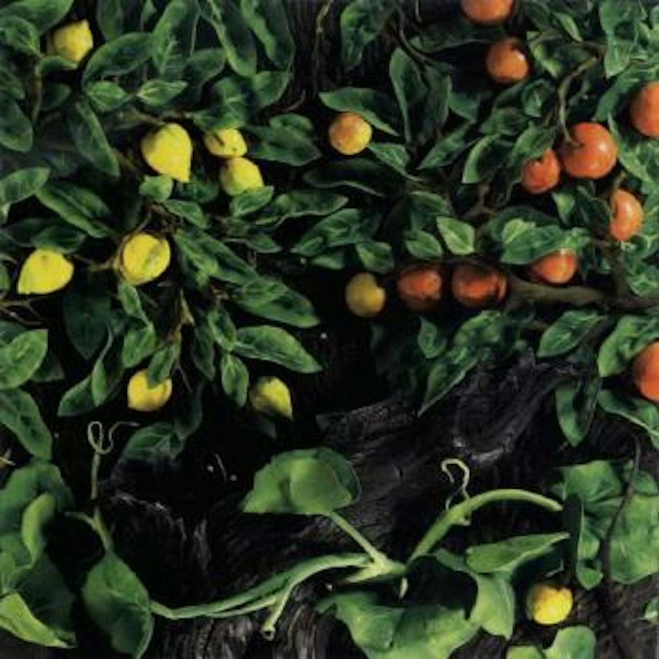 Citrus in Greece by Piero Gilardi