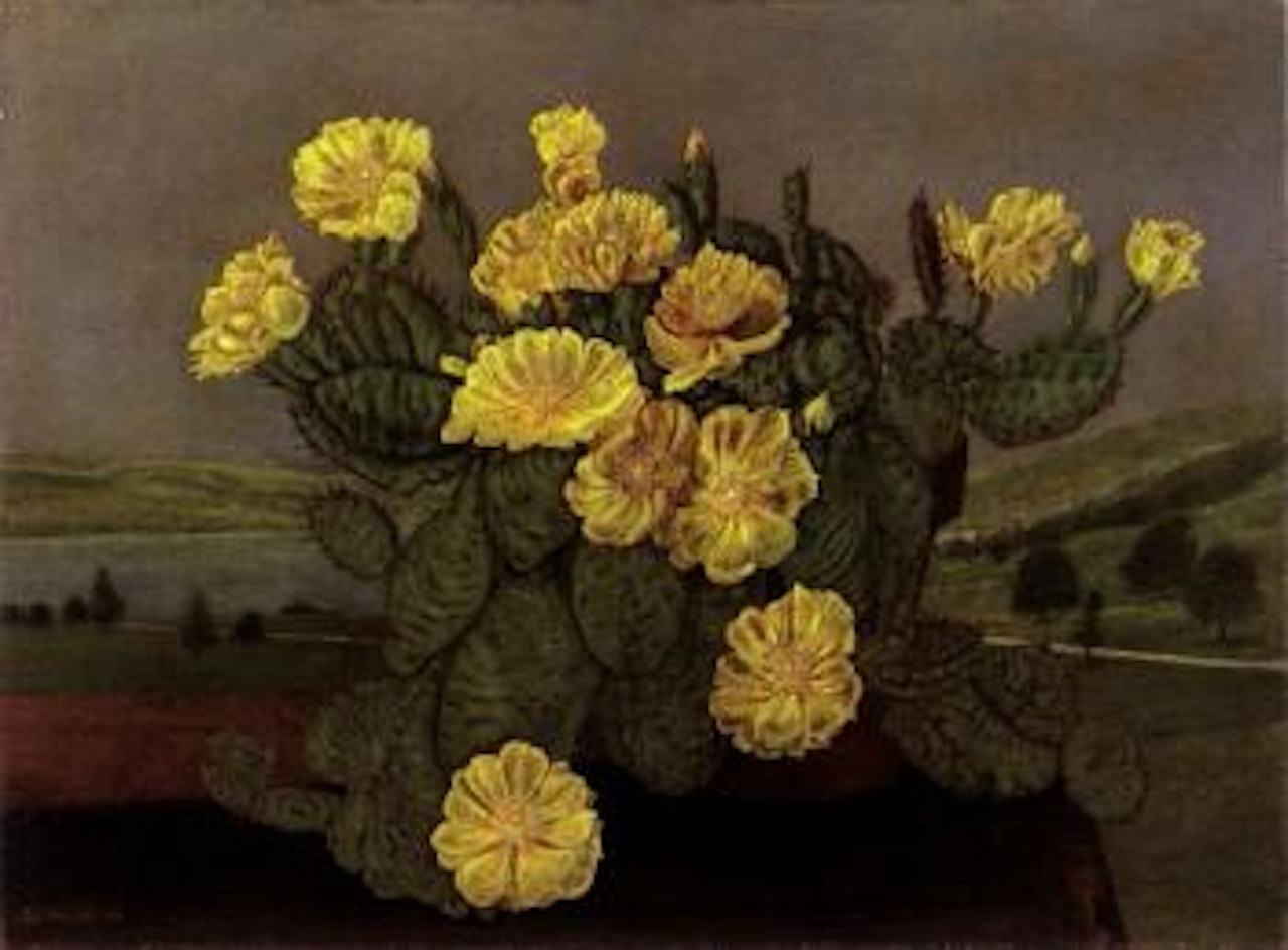 Yellow flowering cactus in a landscape near Untersee by Adolf Dietrich
