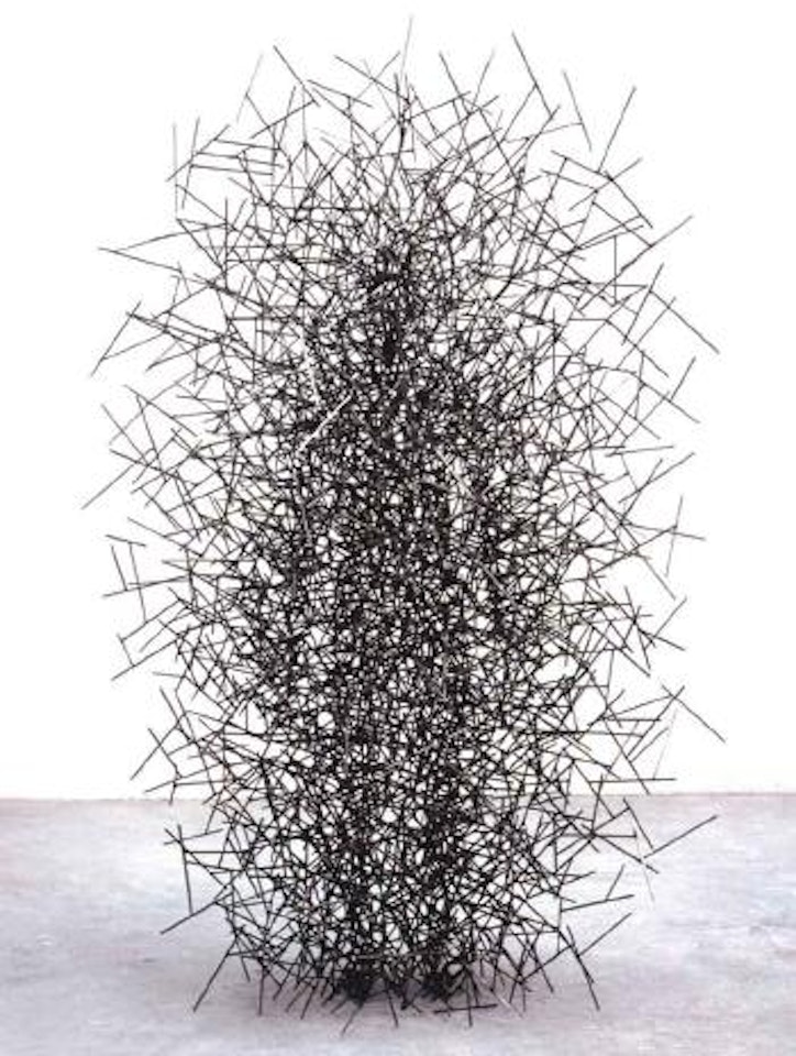 Quantum cloud XIV by Antony Gormley