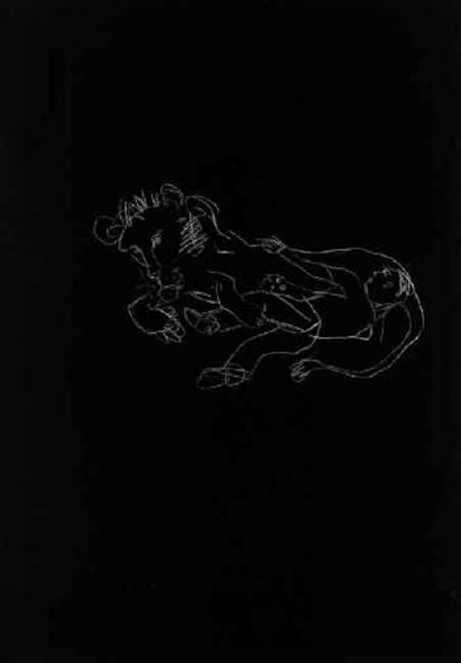 Lion - blackboard drawing by Stephan Balkenhol