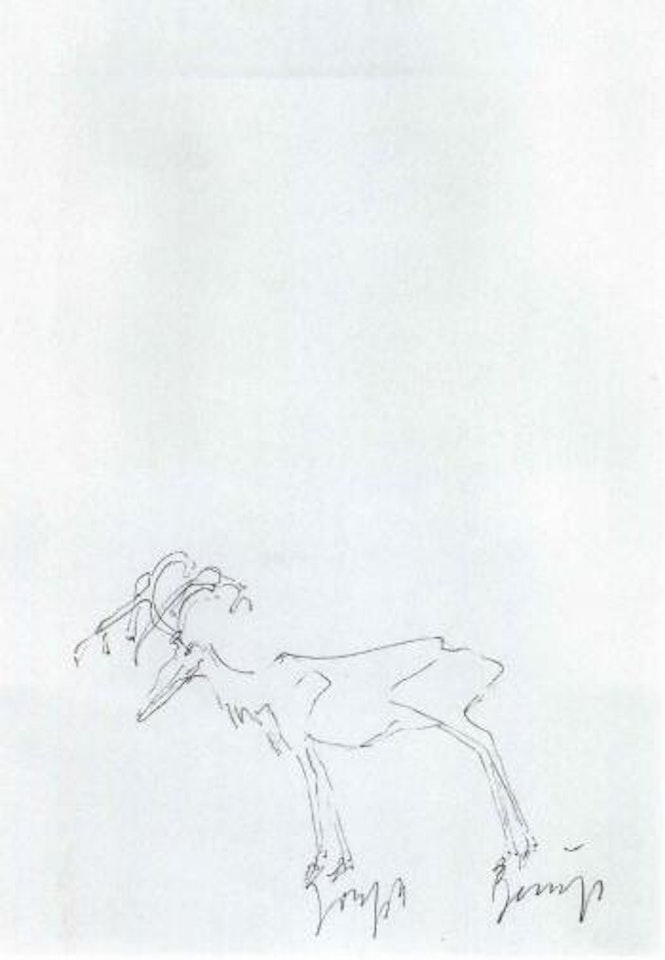 Untitled - deer by Joseph Beuys