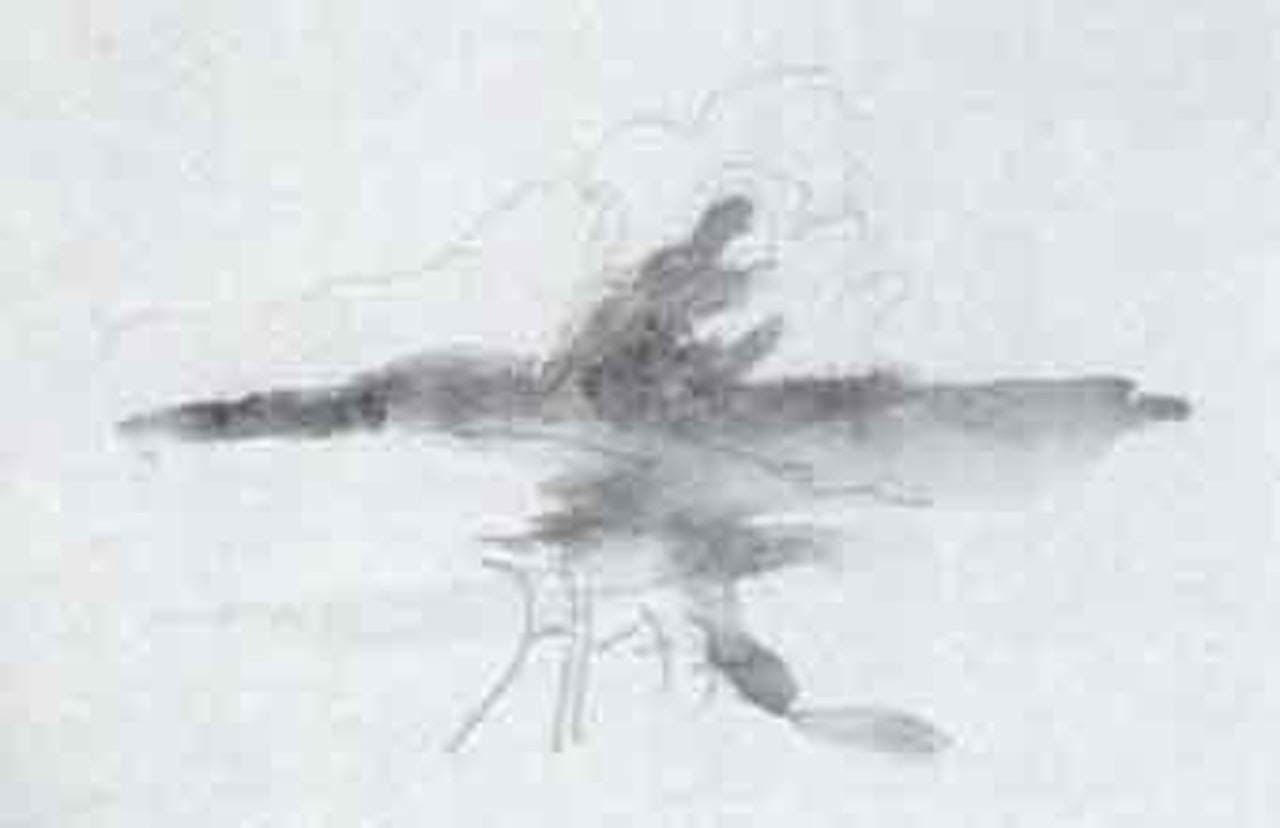 Landscape by Horst Janssen