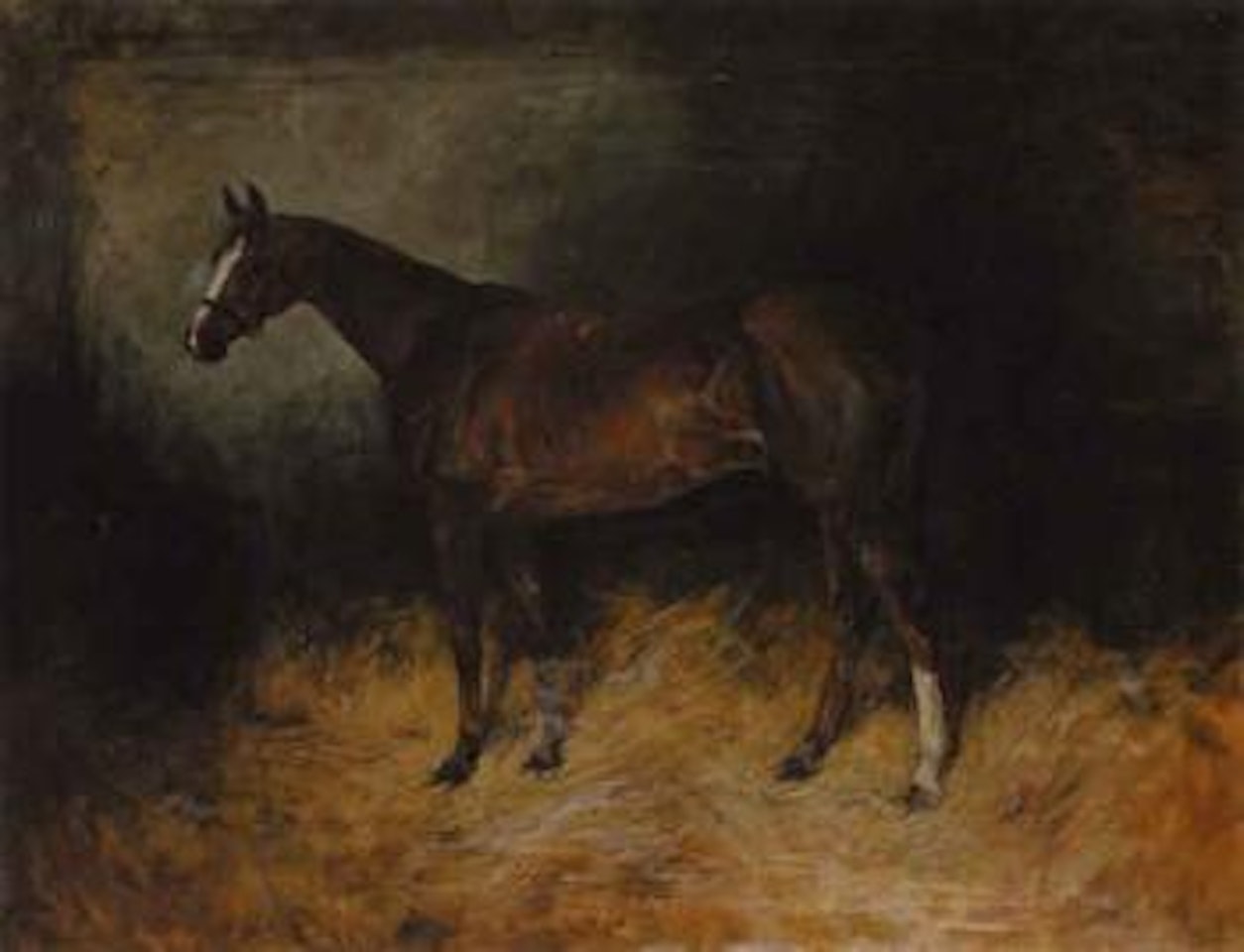 Portrait of a horse in a stable by John Emms