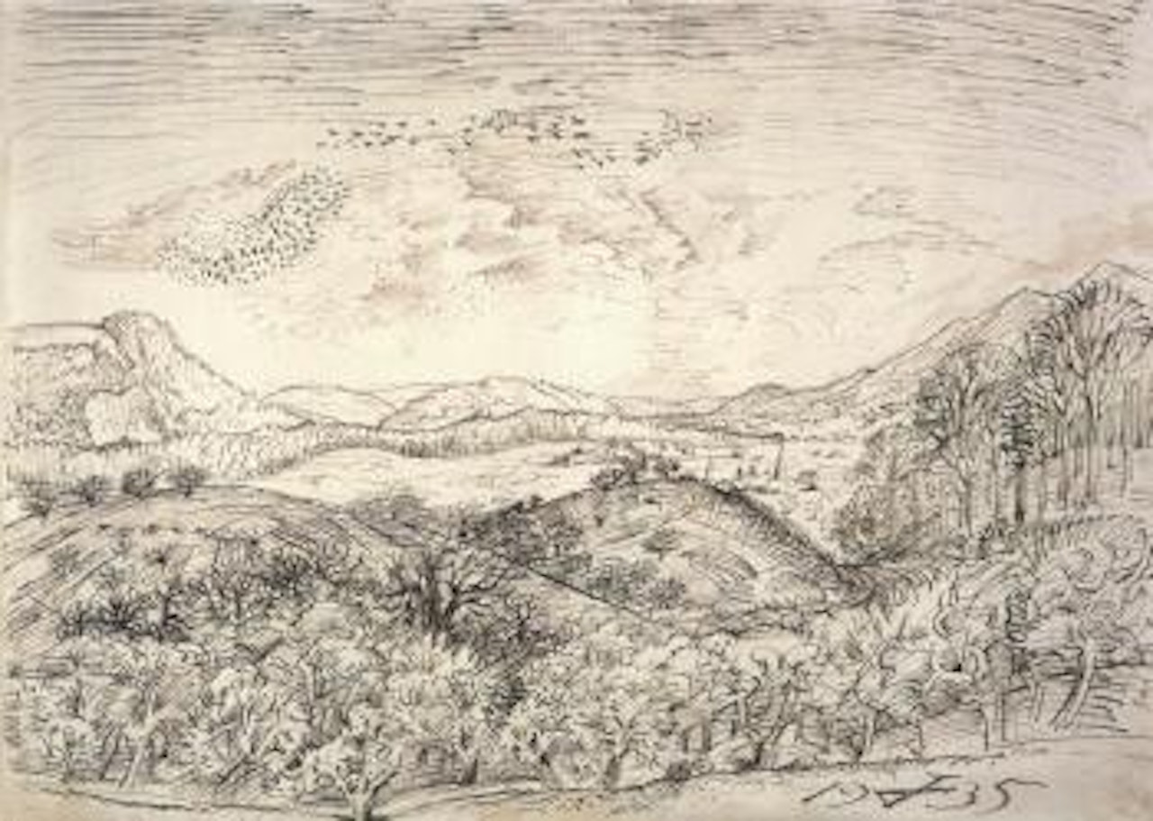 Landscape with birds flying overhead by Otto Dix